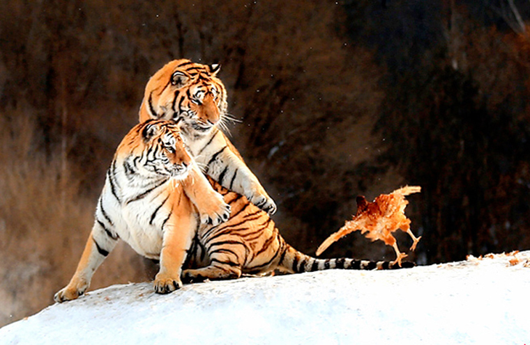 环保部:未来三天全国大气扩散条件总体有利 环保部:未来三天全国大气扩散条件总体有利