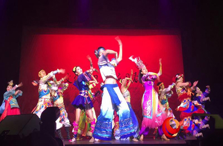 “欢乐春节—中国新年音乐会”首秀南非呈献民乐视听盛宴