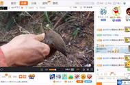 向“全能”看齐 今年豪华SUV市场的趋势